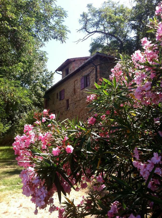 Farmhouse B&B Il Paretaio Barberino di Val dʼElsa Exterior foto